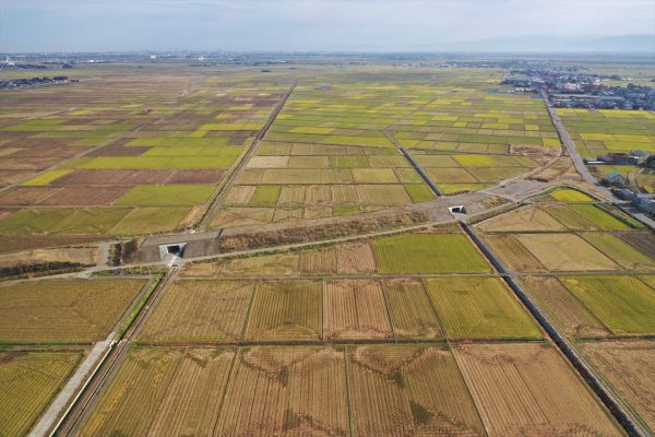 主要地方道新潟中央環状線（升潟他地内）道路改良工事 写真