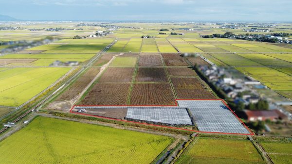 松橋地区　揚水機場第１次工事 写真