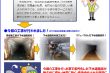 西下第19号　万代排水区流作場幹線25～28管更生工事 写真