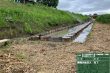 中ノ口川広域河川一級（大規模特定）左岸鋼管矢板護岸その2工事 写真