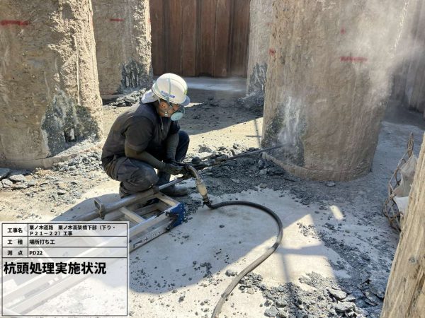 栗ノ木道路　栗ノ木高架橋下部（下り・Ｐ２１－２２）工事 写真