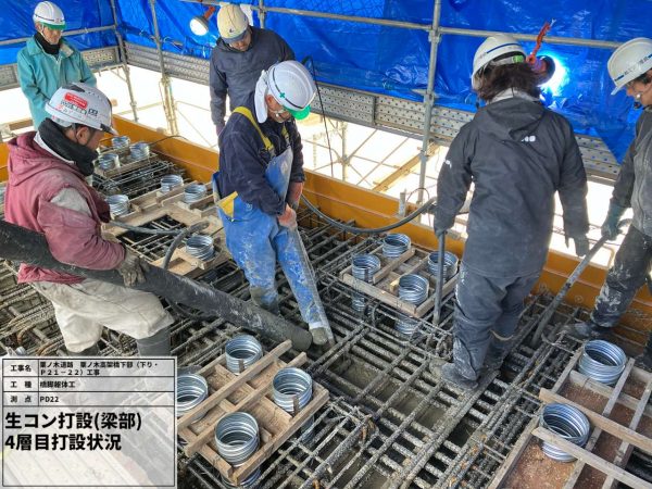 栗ノ木道路　栗ノ木高架橋下部（下り・Ｐ２１－２２）工事 写真