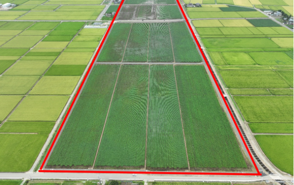 松橋地区　区画整理第2次工事