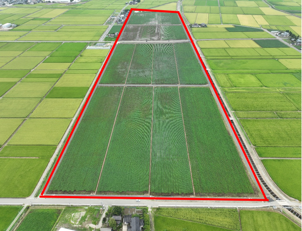 松橋地区　区画整理第2次工事 写真