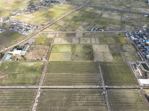 大原２期地区　区画整理第２次工事 写真