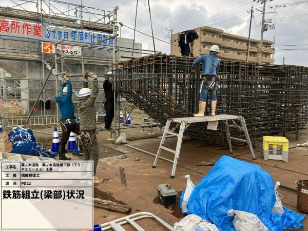 栗ノ木道路　栗ノ木高架橋下部（下り･Ｐ21-22）工事 写真